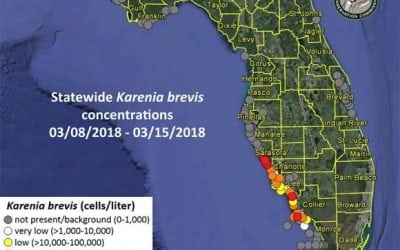 Red Tide Getting Worse