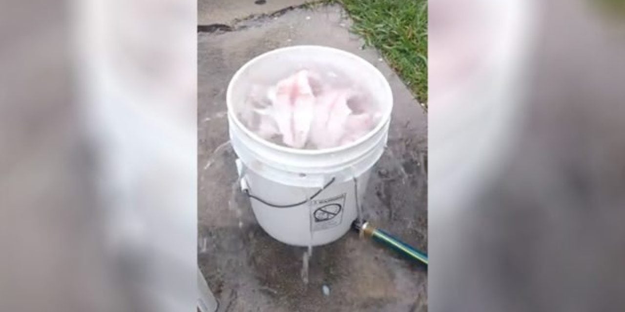 Redneck Fish Filet Cleaner is Absolutely Genius