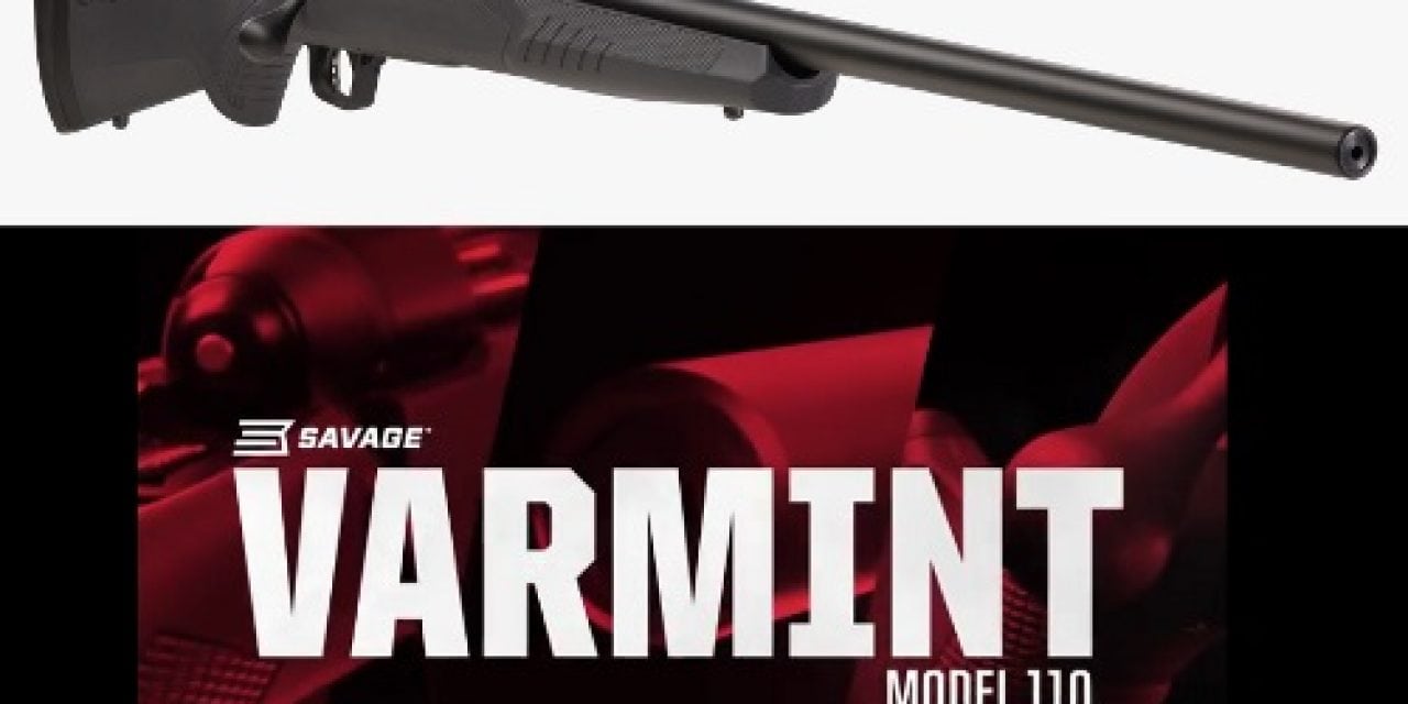 Savage Model 110 Varmint with AccuFit