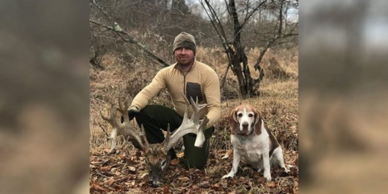 Shed Hunter Finds Enormous Deer Head in Pennsylvania