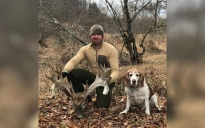Shed Hunter Finds Enormous Deer Head in Pennsylvania