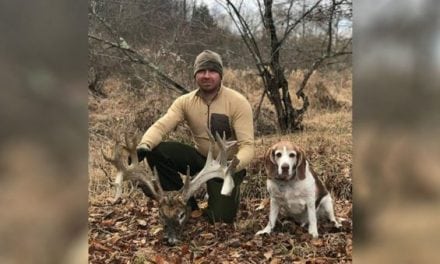 Shed Hunter Finds Enormous Deer Head in Pennsylvania