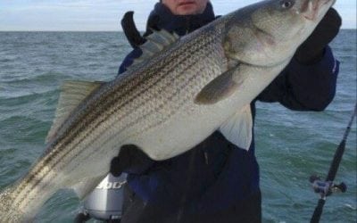 Stripers Forever Survey Results