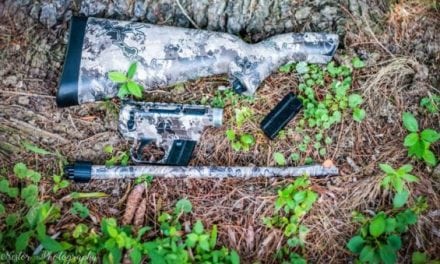 Sunday Gunday: 4 Bug-Out Bag Rifles That Will Keep You Alive