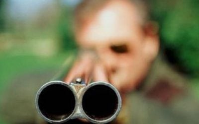 Sunday Gunday: Top 5 Shotguns for Home Defense