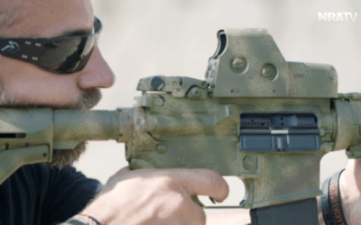 The Truth Is, They Want to Ban Every Gun