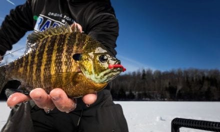 The Weedbed Connection for Late-Ice Gills