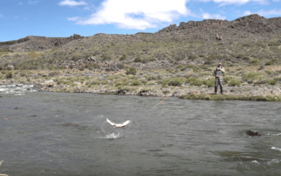 There’s a Reason They Call This Jurassic Lake