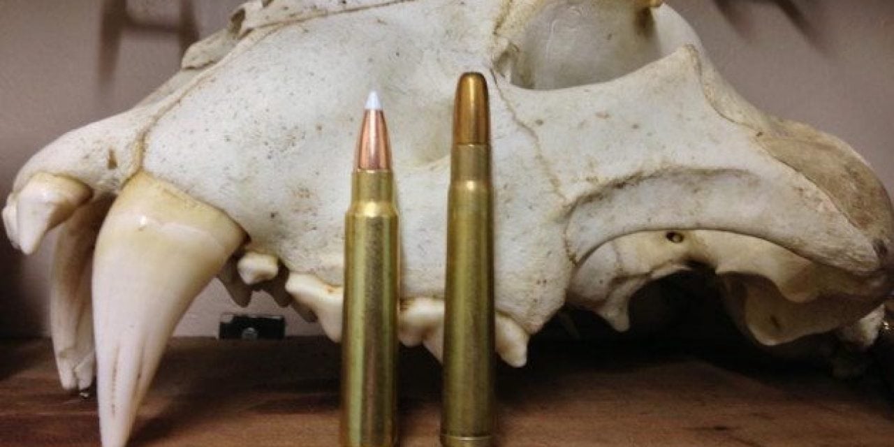 These Are the Most Underrated Rifle Cartridges for Hunting