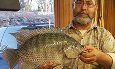 They Grow them Big In Tennessee: State Record Tilapia Caught