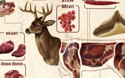 This Diagram Makes Butchering a Deer Much Easier