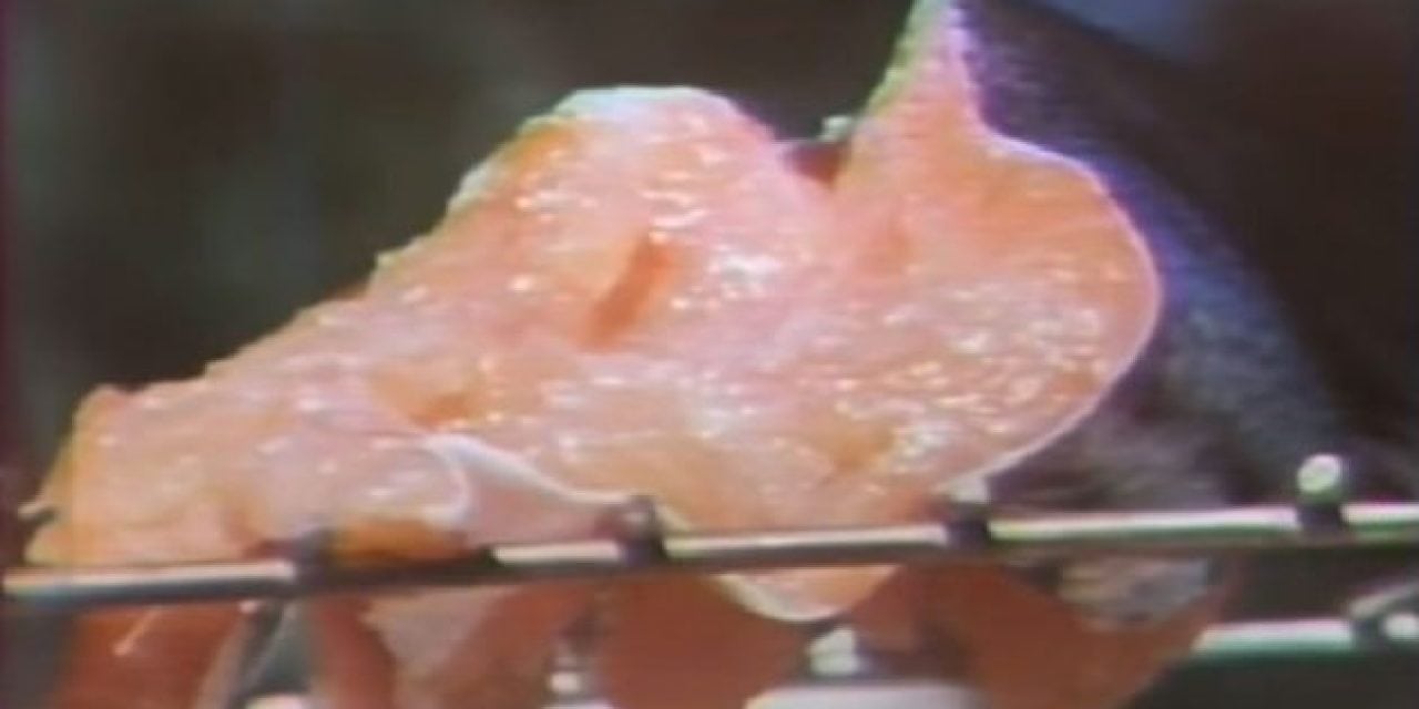 Throwback Thursday: Smoking Salmon in 1978