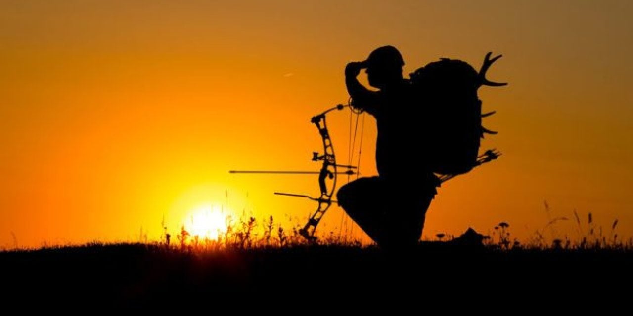 Tips for Buying Your First Bow