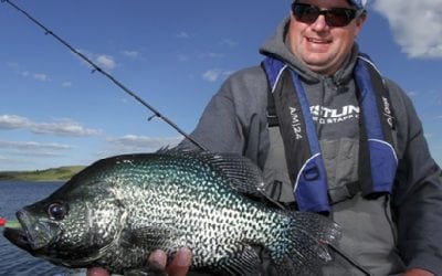 Top Tips for More Spring Crappie