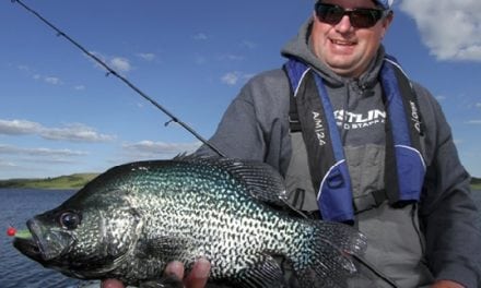 Top Tips for More Spring Crappie