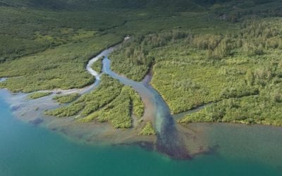 TRCP: Why We’re Still Not Past Pebble Mine