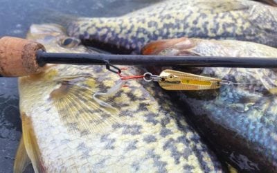 Try Northland Glo-Shot Spoons for Crappies