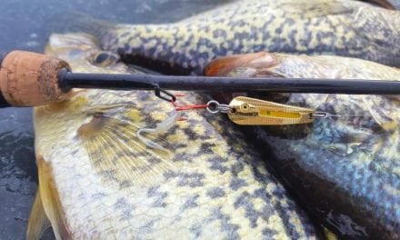 Try Northland Glo-Shot Spoons for Crappies