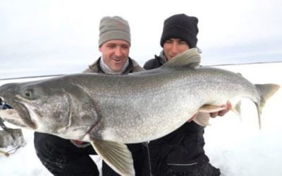Video: Big Manitoba Lake Trout Barely Fits Through the Hole in the Ice
