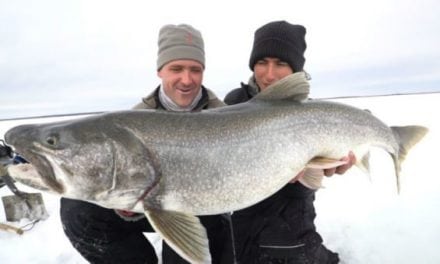 Video: Big Manitoba Lake Trout Barely Fits Through the Hole in the Ice