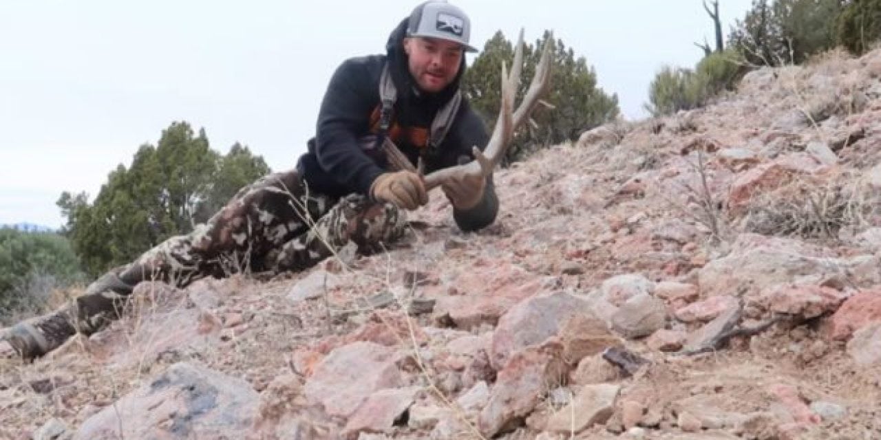 Video: Finding Monster Mule Deer Sheds with the Hushin Crew