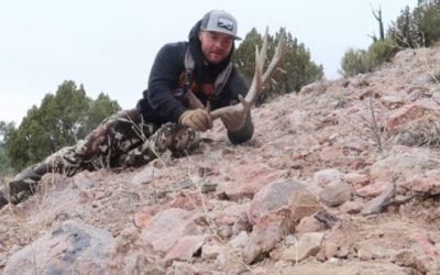 Video: Finding Monster Mule Deer Sheds with the Hushin Crew