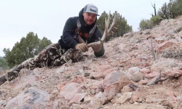 Video: Finding Monster Mule Deer Sheds with the Hushin Crew