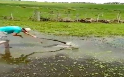 Video: Guy Wacks Fish with Gun, Shoots Himself in the Junk