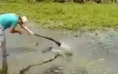 Video: Guy Whacks Fish with Gun, Shoots Himself in the Junk
