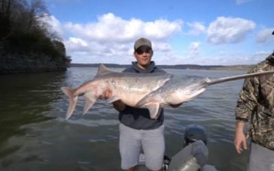 Video: Have You Ever Tried Snagging for Paddlefish Before?