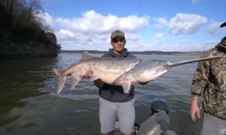 Video: Have You Ever Tried Snagging for Paddlefish Before?
