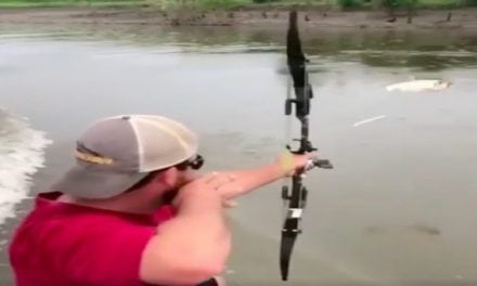 Video: Here’s the Best Reason Not to Put Your Bow Away