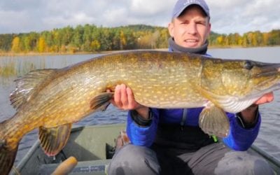 Video: Here’s Why You Need to go Pike Fishing in Sweden