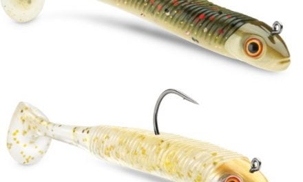 We Can Finally Announce The Newest Bait From Storm – 360GT SEARCHBAIT