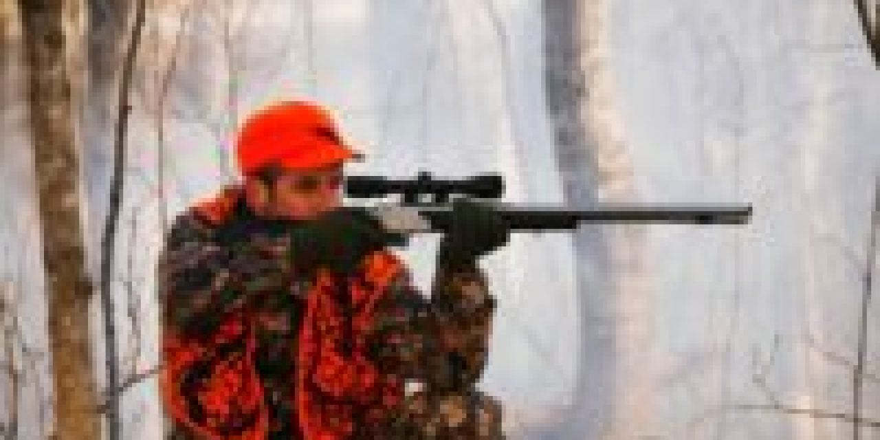 West Virginia: Public Land Deer Hunting Now Open on Sundays