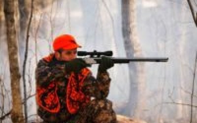 West Virginia: Public Land Deer Hunting Now Open on Sundays