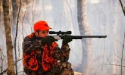 West Virginia: Public Land Deer Hunting Now Open on Sundays