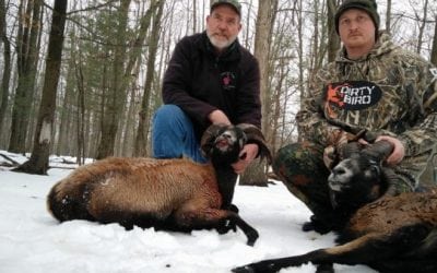 Why You Should Fork Over the Cash and Plan That Exotic Species Hunt