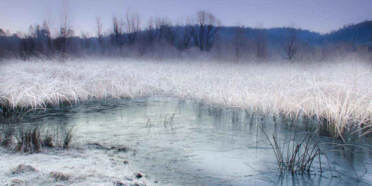 Winter Fog And Mist Assignment Winner Wayne Wilson