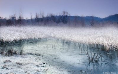 Winter Fog And Mist Assignment Winner Wayne Wilson