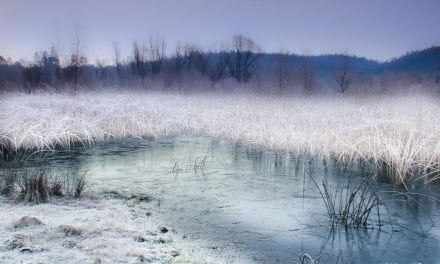 Winter Fog And Mist Assignment Winner Wayne Wilson