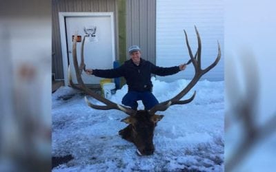Wyoming Loses a Legend: Brutus the Larger Than Life Monster Bull Elk Has Died