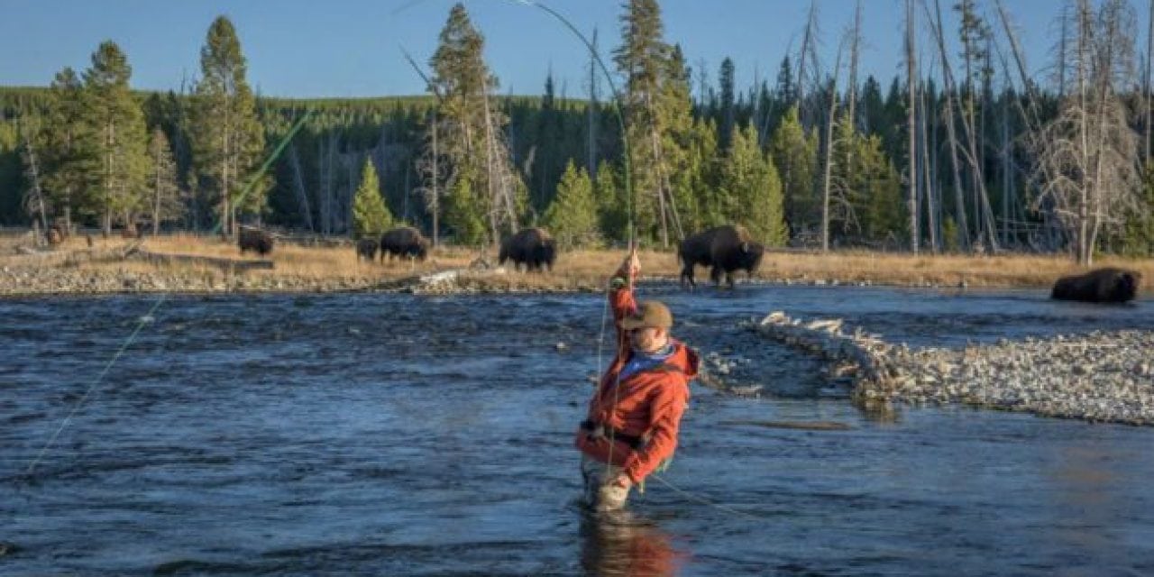 Yellowstone National Park Bans Felt-Soled Waders