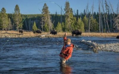 Yellowstone National Park Bans Felt-Soled Waders