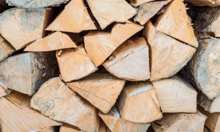 5 Chopping Axes Every Outdoorsman Will Want to Own 