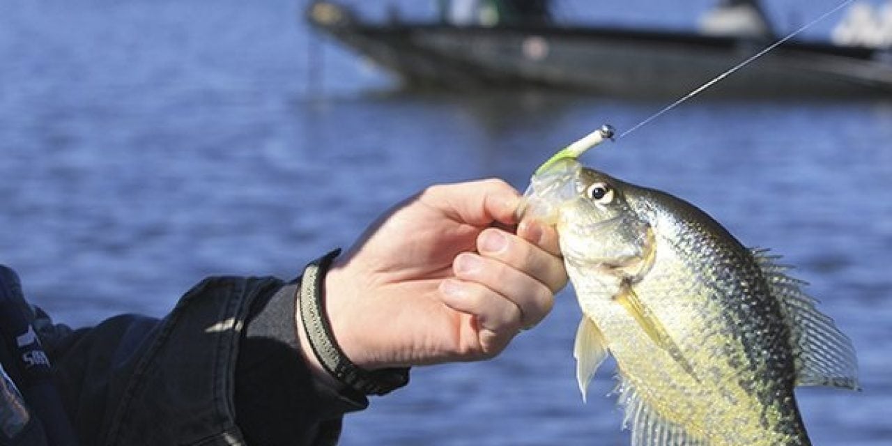 A Crappie Tip From Arkansas