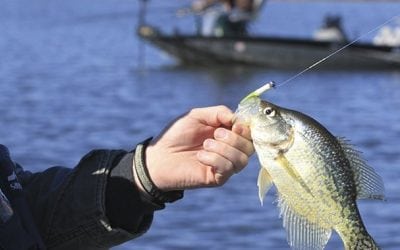 A Crappie Tip From Arkansas