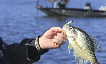 A Crappie Tip From Arkansas