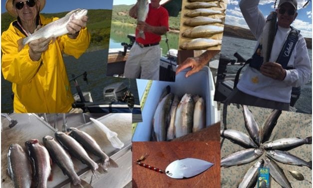 A new tool for the lake trolling tool box