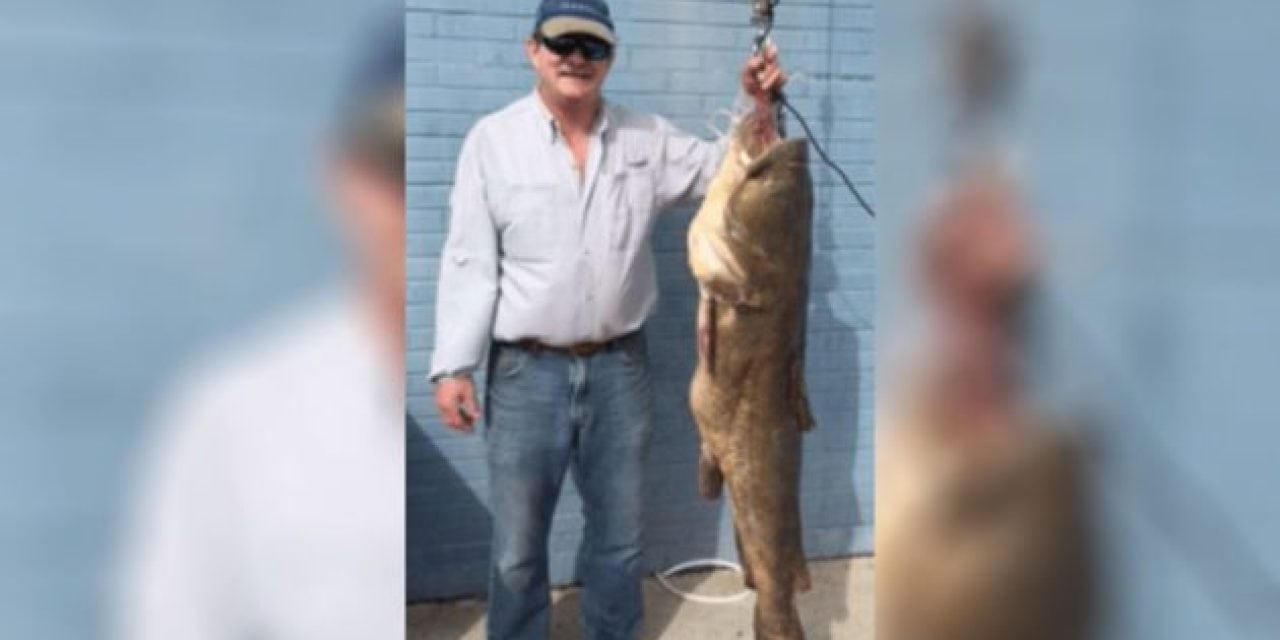 Angler Topples South Carolina Flathead Catfish State Record